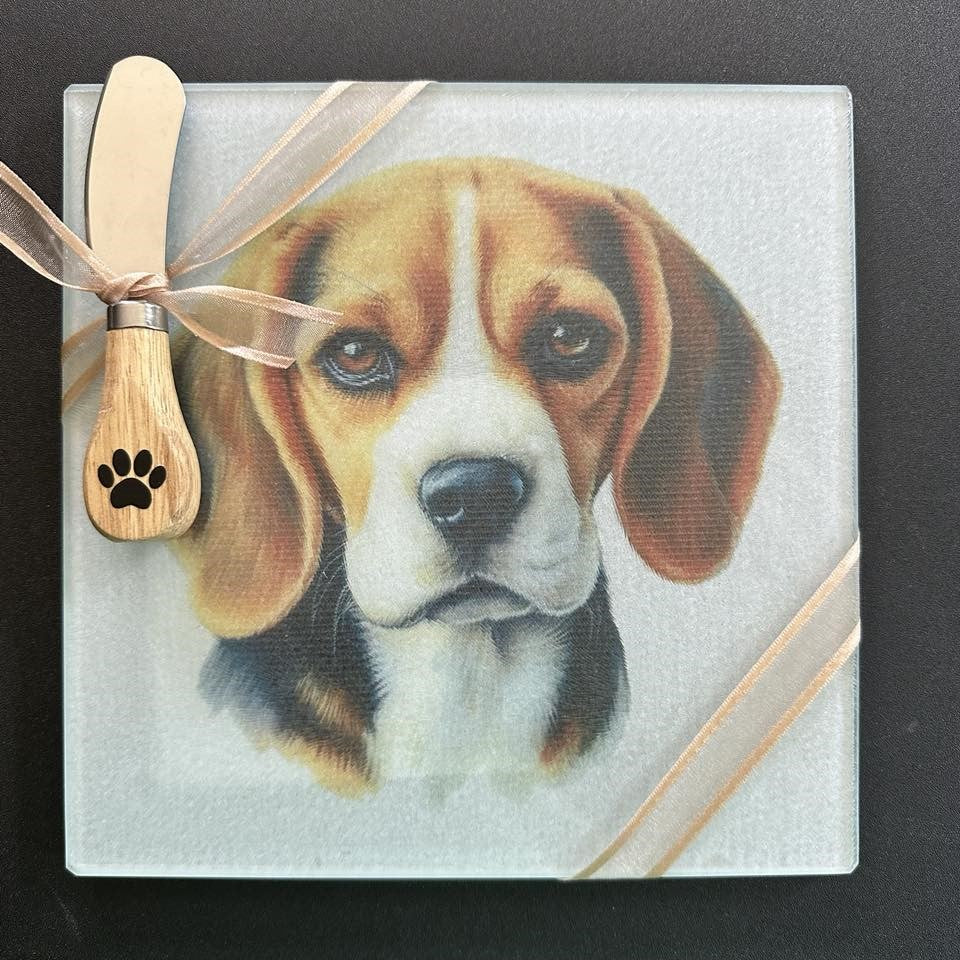 Beagle