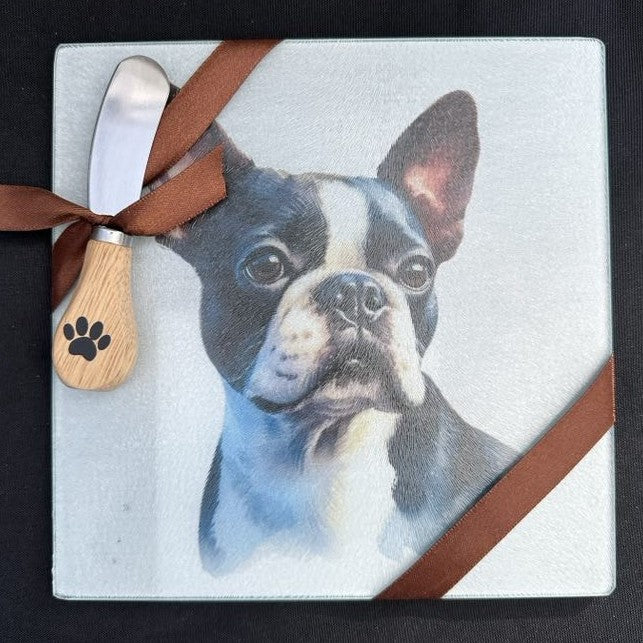 Boston Terrier