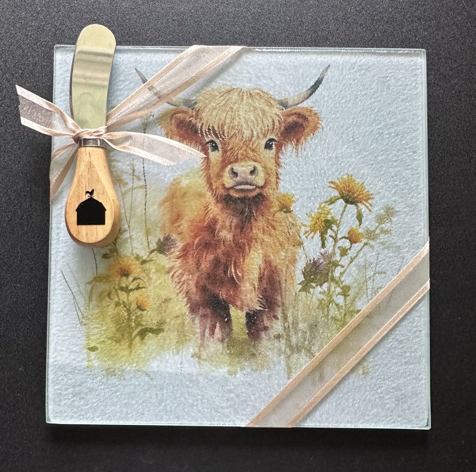 Highland Cow in Field