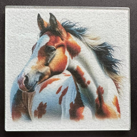 Paint Horse