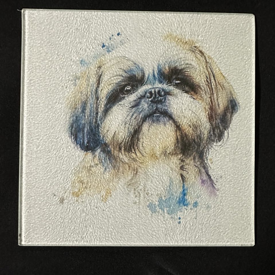 Shih Tzu