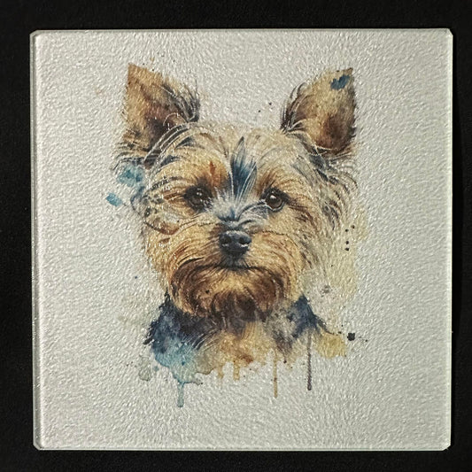 Yorkie